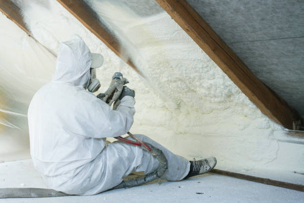 Best Spray Foam Insulation in Cordova, AL