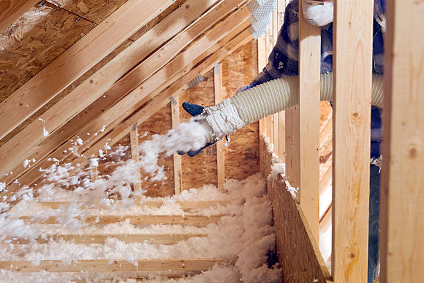 Best Eco-Friendly or Green Insulation Solutions in Cordova, AL